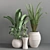 Indoor Greenery Collection 3D model small image 4