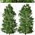 Japanese Cedar Duo: Cryptomeria japonica (Sugi) - 2 Trees 3D model small image 3