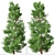 Japanese Cedar Duo: Cryptomeria japonica (Sugi) - 2 Trees 3D model small image 5