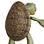 Cartoon Turtle 2013 3D Model 3D model small image 5