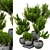 Botanical Bliss: Indoor Plant Vol. 15 3D model small image 1