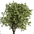 Botanical Bliss: Indoor Tree & Plant Set 3D model small image 4