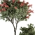 Spectacular Red Crape Myrtle Set 3D model small image 3