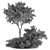 Spectacular Red Crape Myrtle Set 3D model small image 4