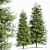 Real Tree: Metasequoia Glyptostroboides 3D model small image 1