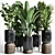 Indoor Plant Collection: Ravenala Ficus, Rubbery Monstera, Concrete Vase 3D model small image 1