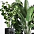 Indoor Plant Collection: Ravenala Ficus, Rubbery Monstera, Concrete Vase 3D model small image 3
