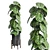 Indoor Plant Collection: Ravenala Ficus, Rubbery Monstera, Concrete Vase 3D model small image 5
