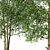 Sweet Tea Trees (2 pcs) 3D model small image 3