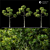 Lush Green Land scape Tree 3D model small image 3