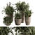 Concrete Pot Plant Set: Yuka & Bush 3D model small image 1