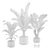 Tropical Oasis Indoor Plant Pack 3D model small image 2