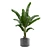 Tropical Oasis Indoor Plant Pack 3D model small image 3