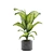 Tropical Oasis Indoor Plant Pack 3D model small image 7