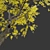 Autumn Jungle Trees Set 3D model small image 2