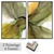  Artistic Impressions: 2 Paintings with 4 Frame Options 3D model small image 1