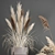 Pampas Grass Collection: Dried Reed and Stabilized Flowers 3D model small image 3