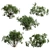 Wild Bushes Set - 1.3m Height, 5 Variations 3D model small image 1