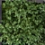 Dynamic Greenwall Set 181 3D model small image 5