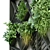 Vertical Oasis: A Stylish Plant Set 3D model small image 2