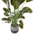 Green Oasis Indoor Plant Collection 3D model small image 4