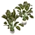 Indoor Greenery Collection - Set 113 3D model small image 2