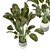 Indoor Greenery Collection - Set 113 3D model small image 4