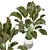 Indoor Greenery Collection - Set 113 3D model small image 5