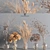 Collaction Plants Bouquet VRay 3D model small image 1