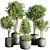 145-Piece Collection: Indoor/Outdoor Plant Tree Vase in Dirty Concrete 3D model small image 1