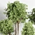 145-Piece Collection: Indoor/Outdoor Plant Tree Vase in Dirty Concrete 3D model small image 3