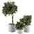 Bountiful Greens 311: Stylish Indoor Plant Set 3D model small image 1
