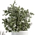 Indoor Plant Set: Round Stand, White Pot 3D model small image 2