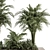 Tropical Oasis Outdoor Plant Set 3D model small image 4