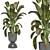 Indoor Oasis: Plant Collection 3D model small image 3