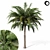 Tropical Palm Tree 01 3D model small image 4