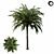 Tropical Palm Tree 01 3D model small image 5