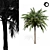 Tropical Palm Tree 01 3D model small image 6