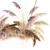 Reed Bouquet 200: Elegant Dry Flower Decor 3D model small image 5