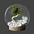 Miniature Glass Globe with Little Tree 3D model small image 4