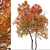 Autumn Blaze Tree Set: Vibrant Fall Colors 3D model small image 3