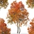 Autumn Blaze Tree Set: Vibrant Fall Colors 3D model small image 4