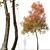 Autumn Blaze Tree Set: Vibrant Fall Colors 3D model small image 5