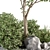 Evergreen Oasis - Outdoor Garden Set 3D model small image 2