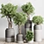 Concrete Vase Pot Collection: 61 Indoor & Outdoor Plants 3D model small image 2