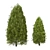 Pine Tree 03: Perfect for Landscaping 3D model small image 2