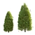 Pine Tree 03: Perfect for Landscaping 3D model small image 3
