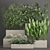 Exotic Plant Collection: Tropical Palms, Cacti, and Bamboo 3D model small image 1