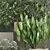 Exotic Plant Collection: Tropical Palms, Cacti, and Bamboo 3D model small image 3