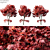 2014 Acer Palmatum: 14m Height, Corona Render 3D model small image 3